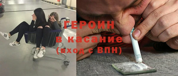 прущие грибы Гусев