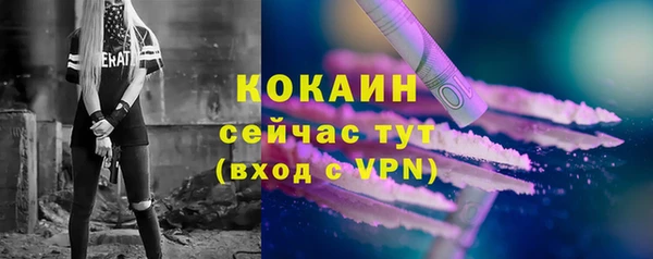 прущие грибы Гусев