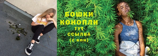 прущие грибы Гусев