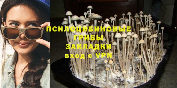 спайс Дмитров