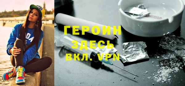 прущие грибы Гусев