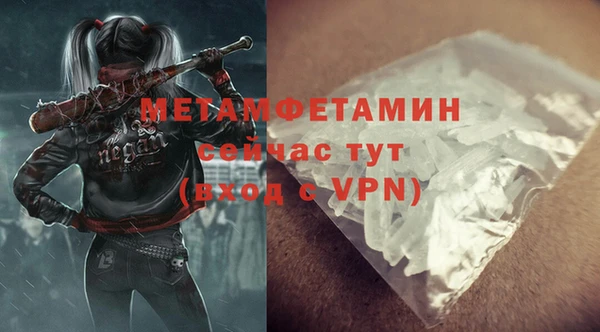 прущие грибы Гусев